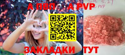 хмурый Кингисепп
