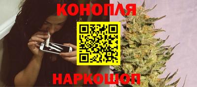 хмурый Кингисепп