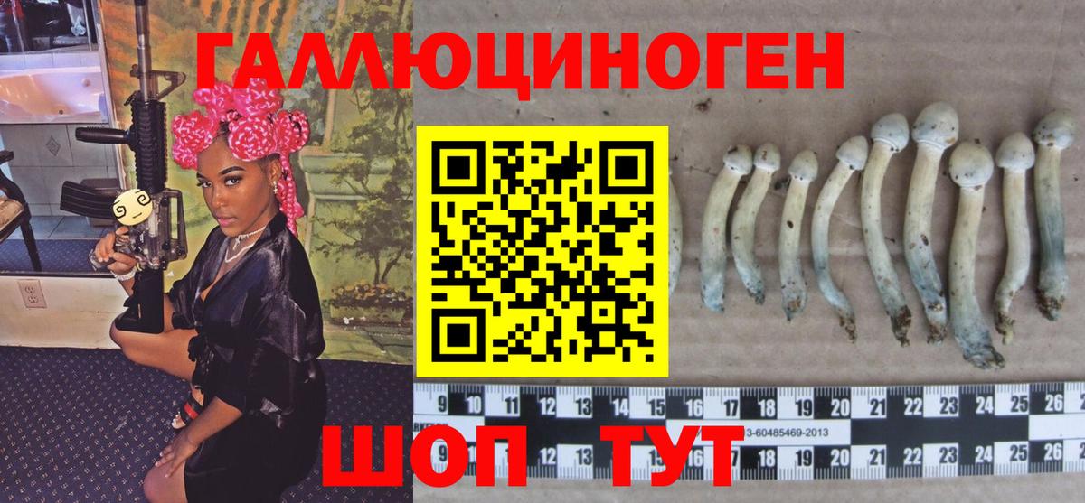 Галлюциногенные грибы прущие грибы  Вход с VPN  Электросталь 