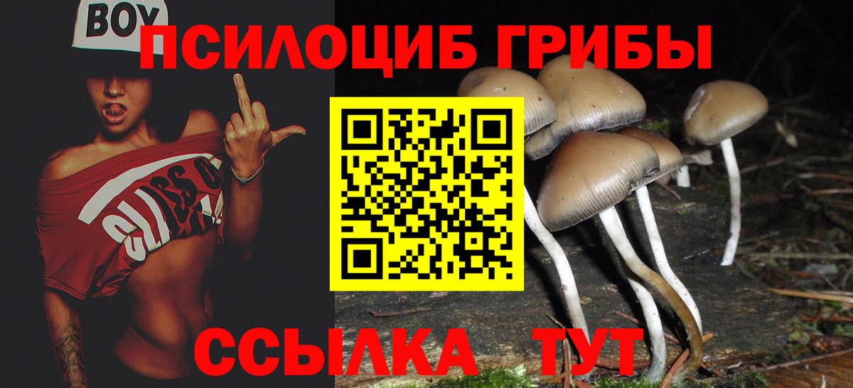 Галлюциногенные грибы Psilocybine cubensis Электросталь